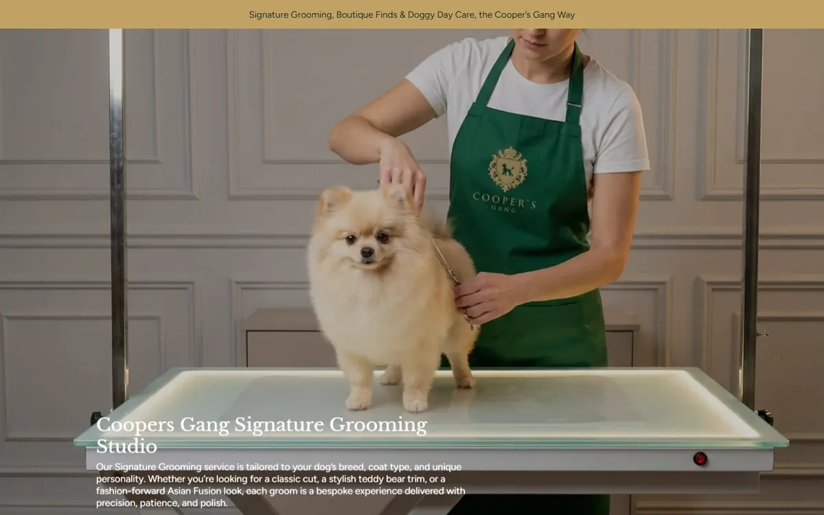 Cooper's Gang homepage
